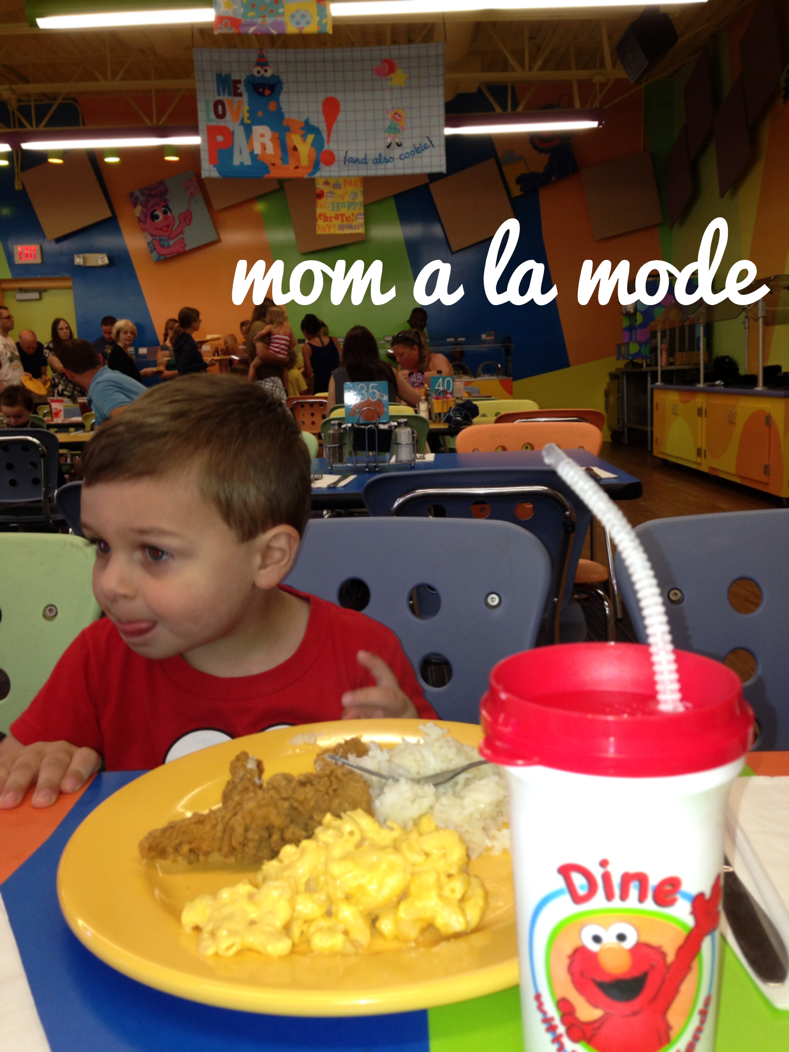 Summer Fun Series: Celebrating a Birthday at Sesame Place - mom a la mode
