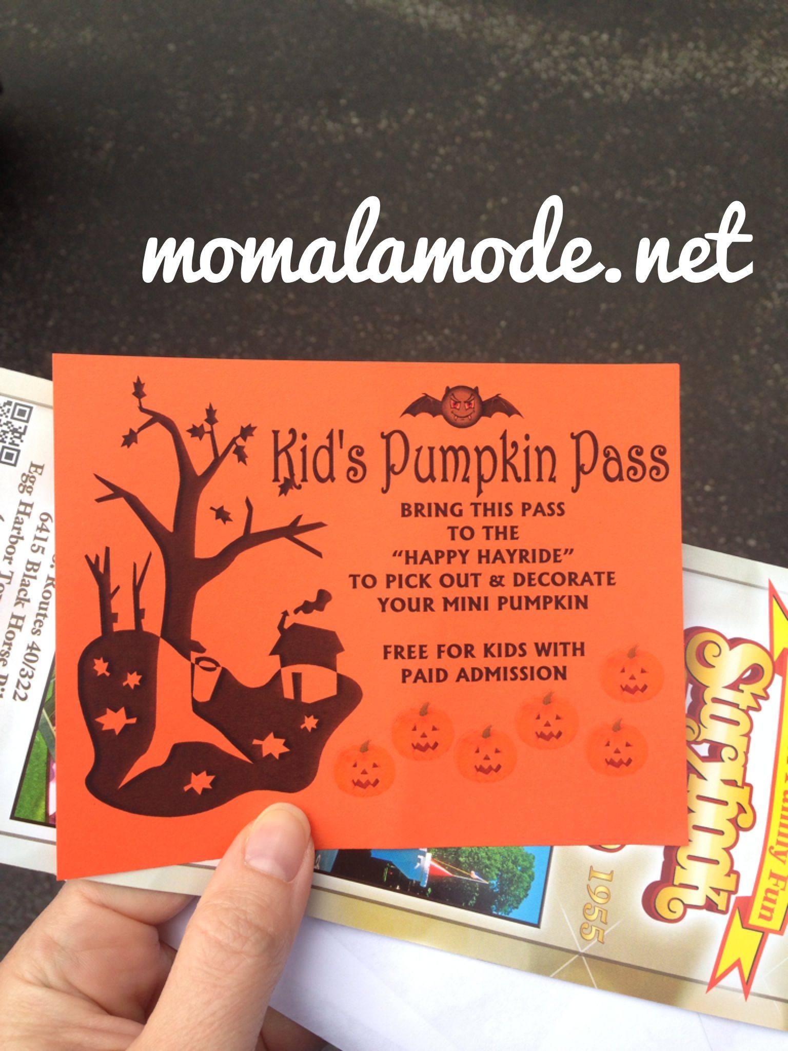 Each child receives a Pumpkin Pass that allows them to select a pumpkin to  decorate on-the-spot after their hayride